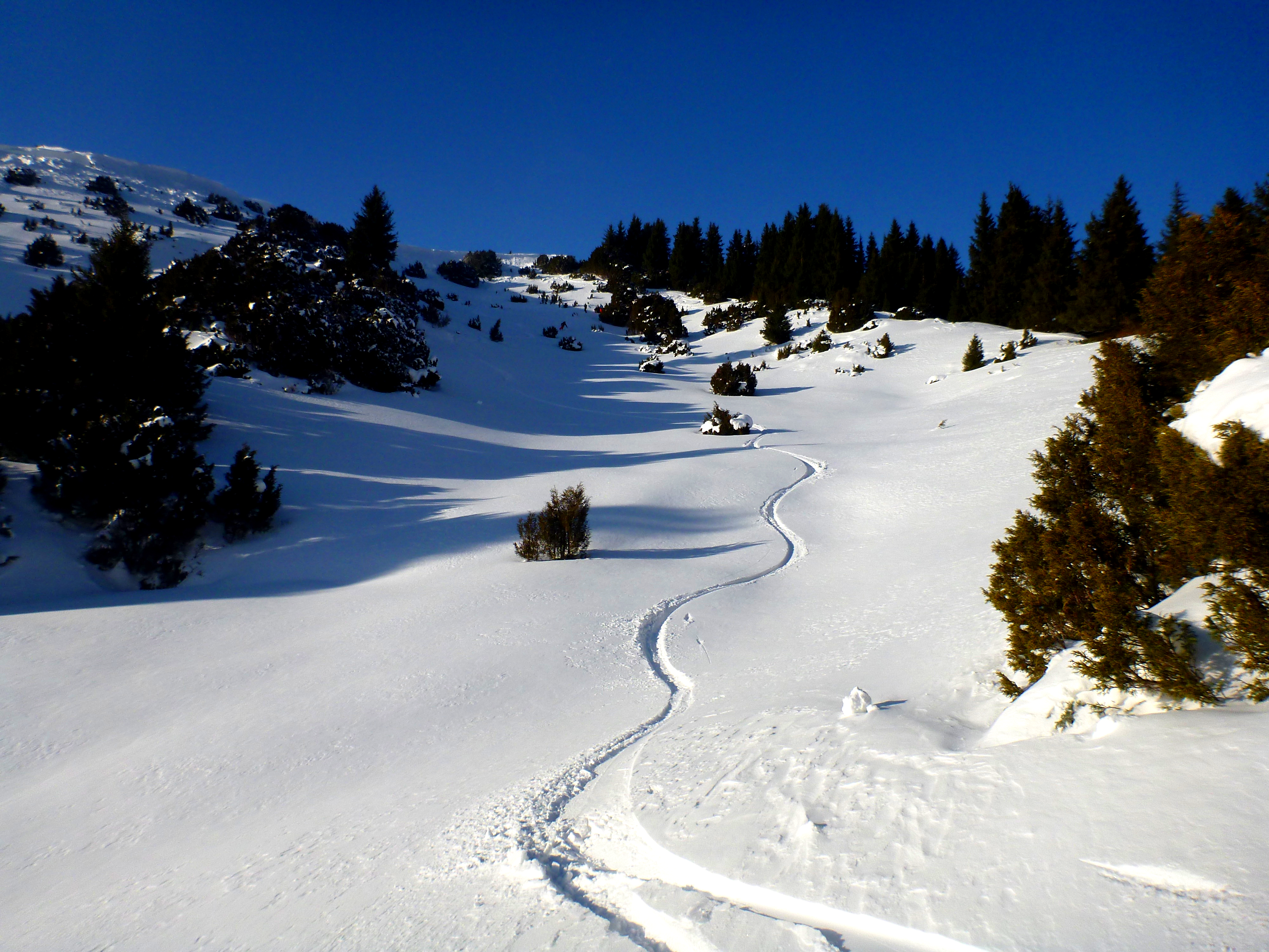 Virgin Powder ski touring snow